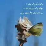 دانلود آهنگ فقط دلم میخواد بگی چجوری “هوش مصنوعی” از مهستی